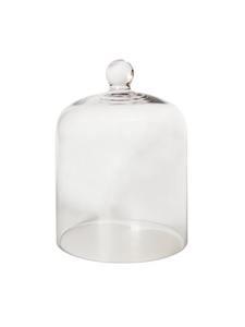 Glass Cloche